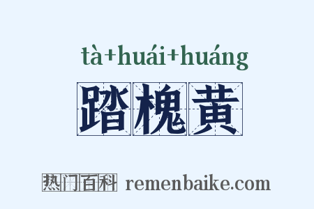踏槐黄是什么意思的图片